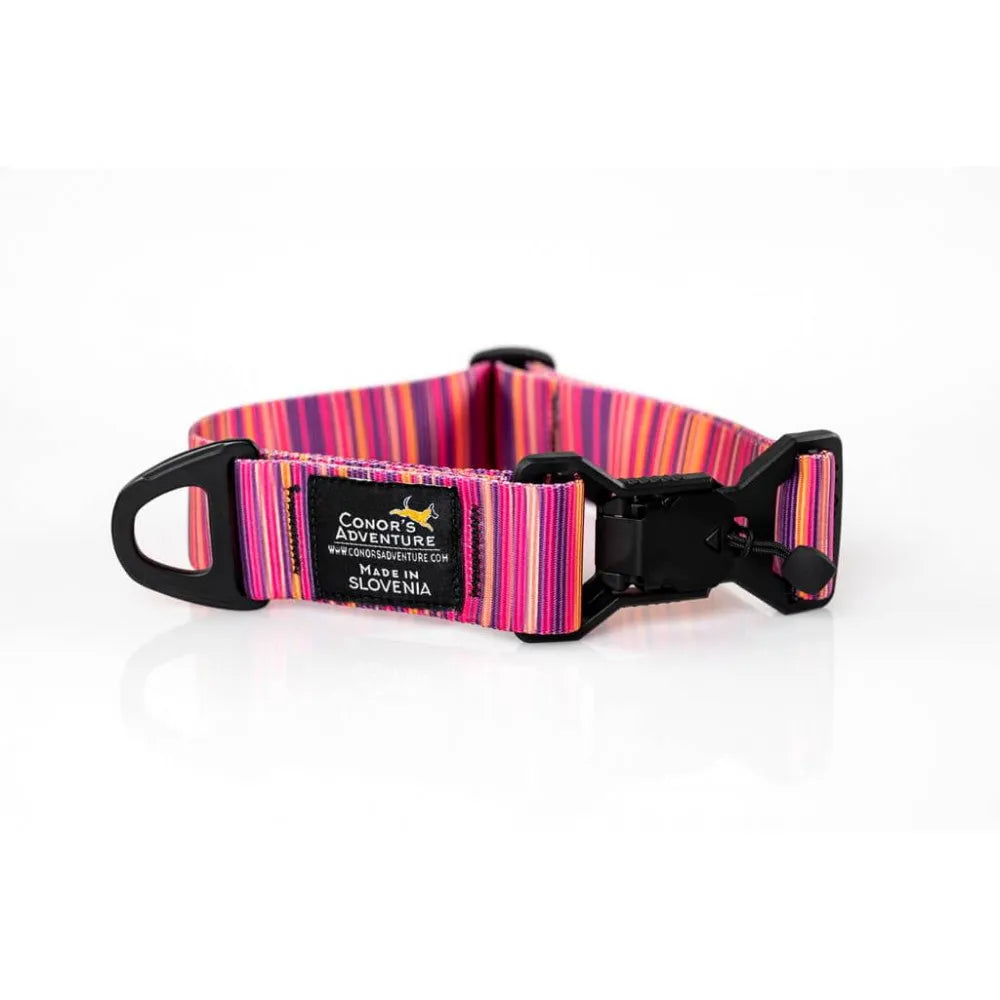 Collare per cani con chiusura magnetica 40 mm