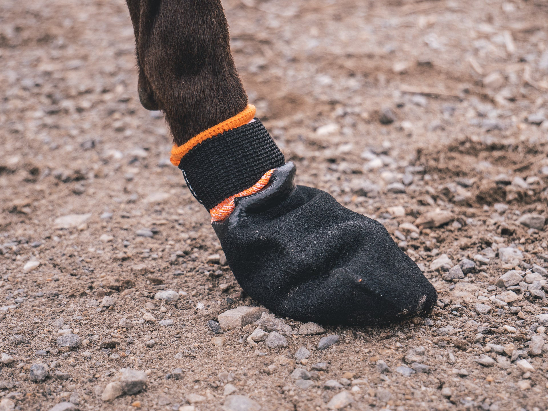 Protector Bootie di Non-stop Dogwear – Protezione Avanzata per le Zampe dei Cani Attivi
