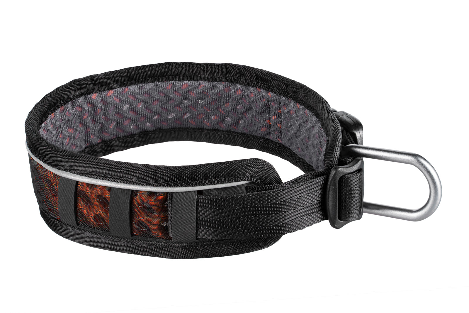 Collare Regolabile Rock – Comfort e resistenza per cani sportivi