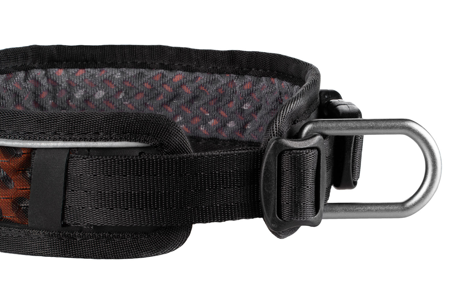 Collare Regolabile Rock – Comfort e resistenza per cani sportivi