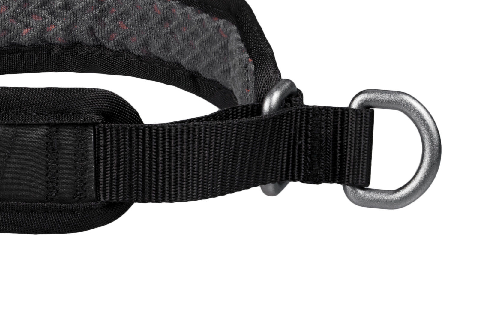 Rock Collar 3.0 – Collare Tecnico e Traspirante per Cani Attivi