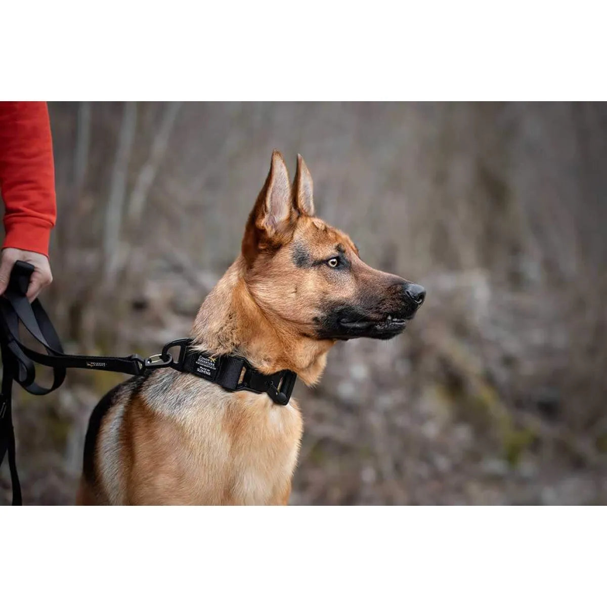 Collare per cani con chiusura magnetica 40 mm