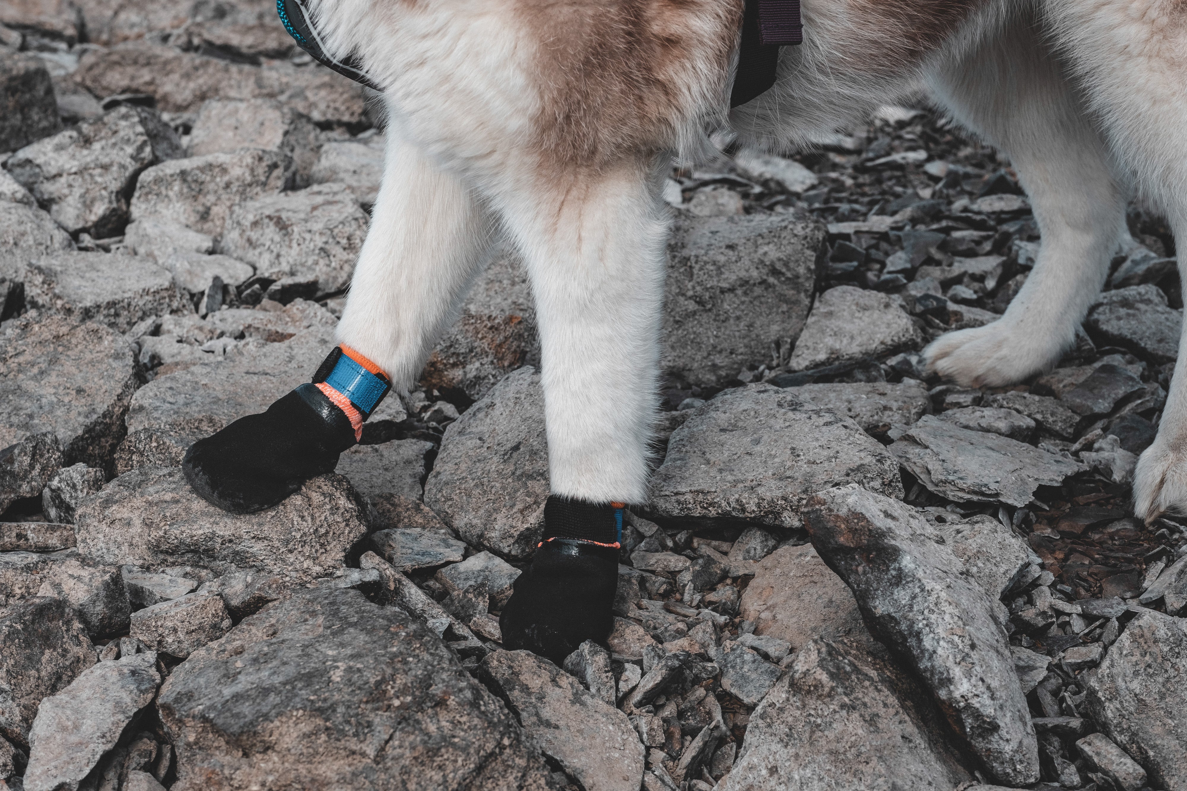 Protector Bootie di Non-stop Dogwear – Protezione Avanzata per le Zampe dei Cani Attivi