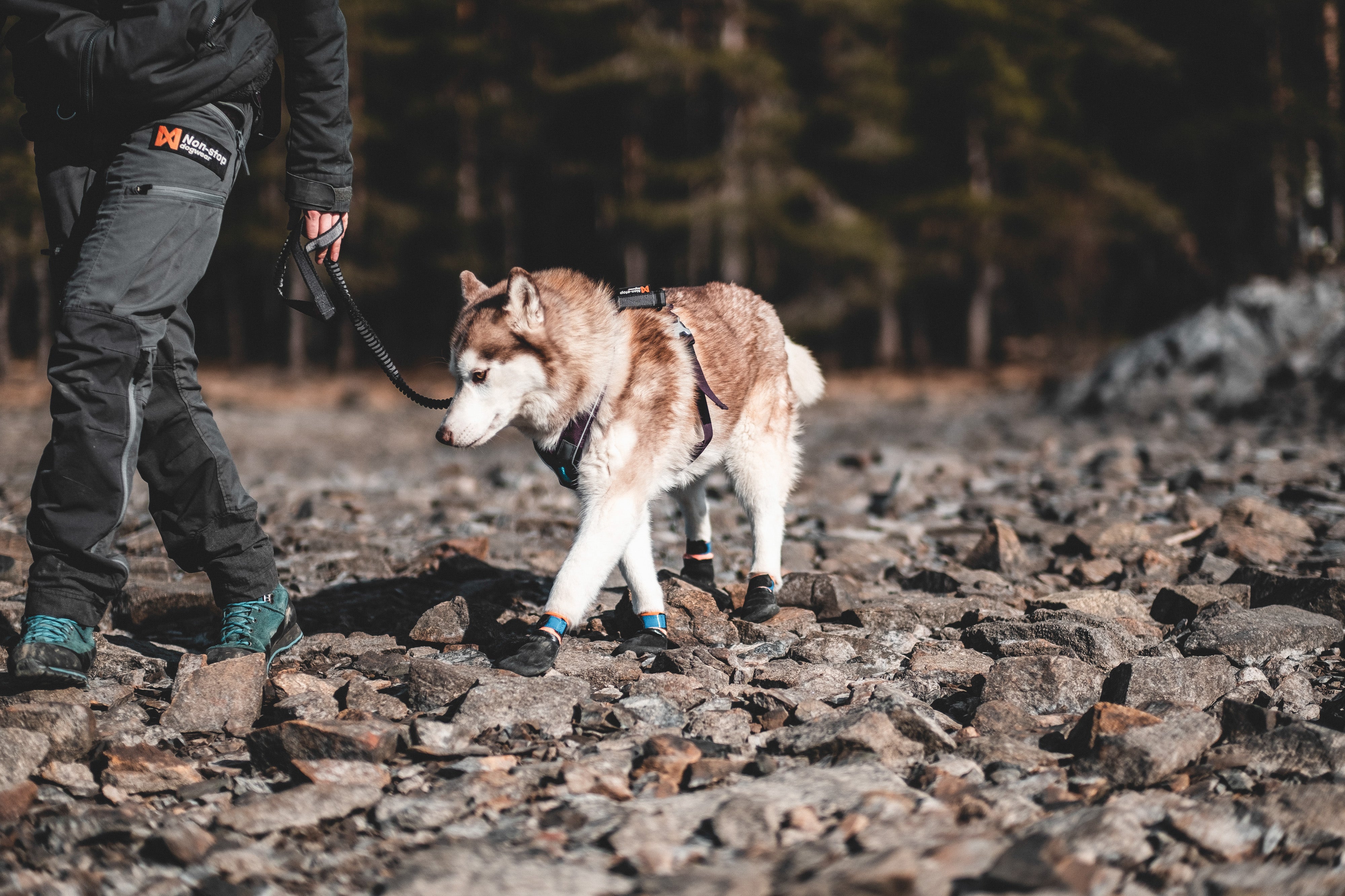 Protector Bootie High – Protezione Avanzata per le Zampe dei Cani Attivi