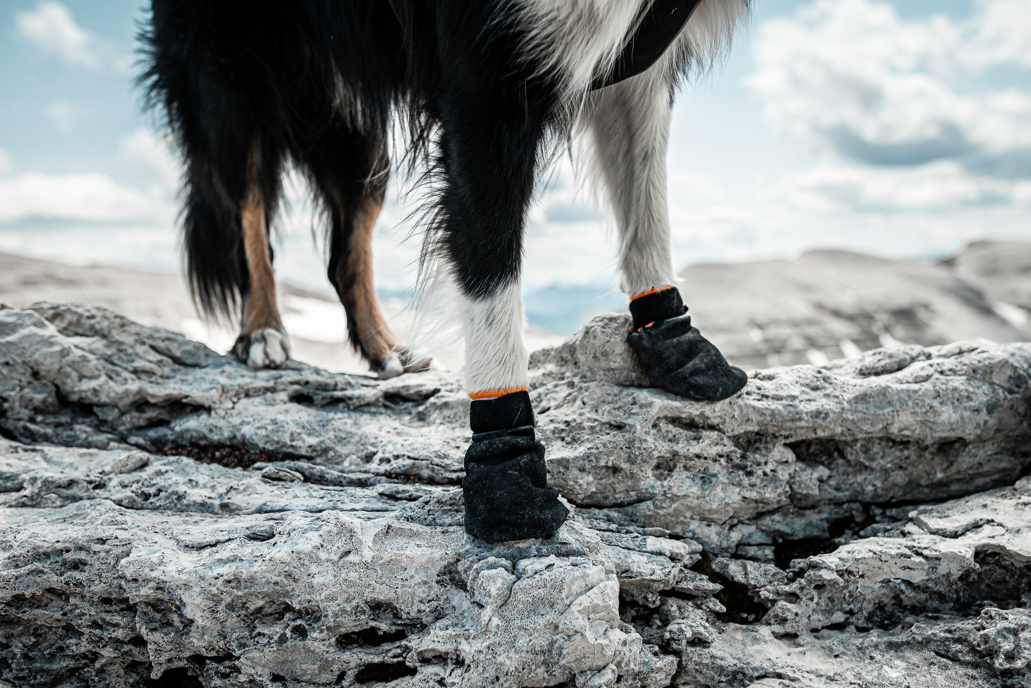 Protector Bootie di Non-stop Dogwear – Protezione Avanzata per le Zampe dei Cani Attivi