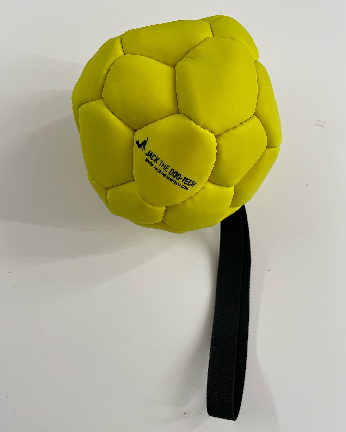 Palla di pelle gonfiabile con maniglia