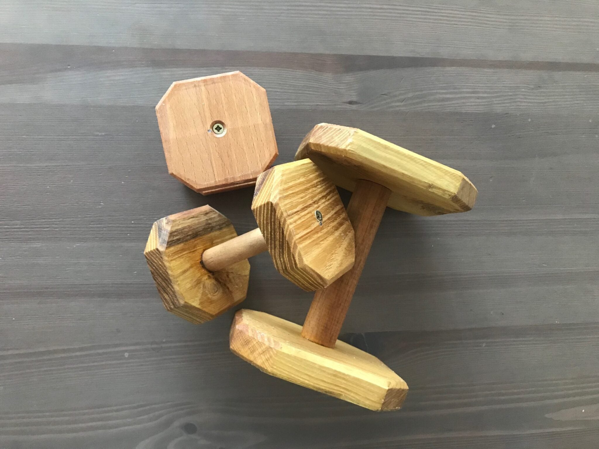 RIPORTO OBBEDIENCE in LEGNO